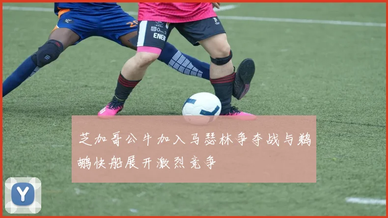 芝加哥公牛加入马瑟林争夺战与鹈鹕快船展开激烈竞争